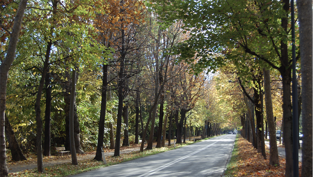 La Guida - Il viale Angeli la domenica aperto al traffico dalle 18