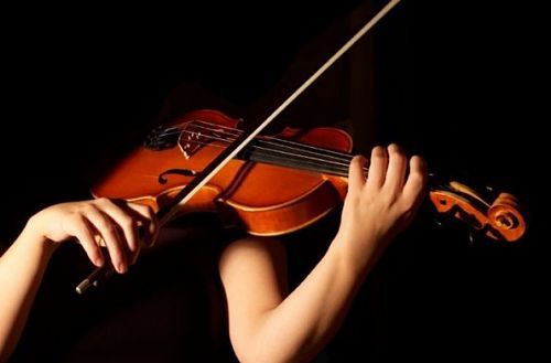 La Guida - I muscoli del musicista all’opera