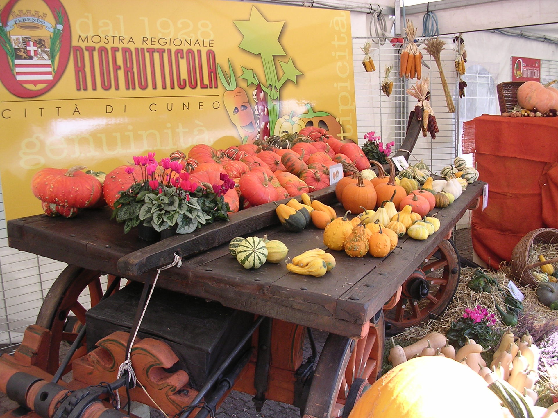 La Guida - Le eccellenze dell’agricoltura cuneese in mostra a San Rocco