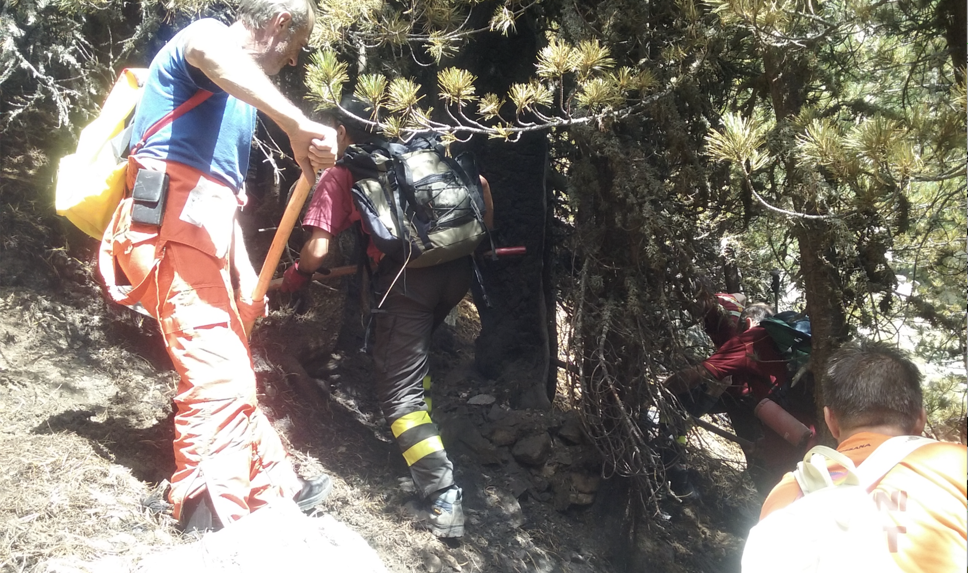 Incendio nel bosco dell’Alevè La Guida - Incendio nel bosco dell’Alevè