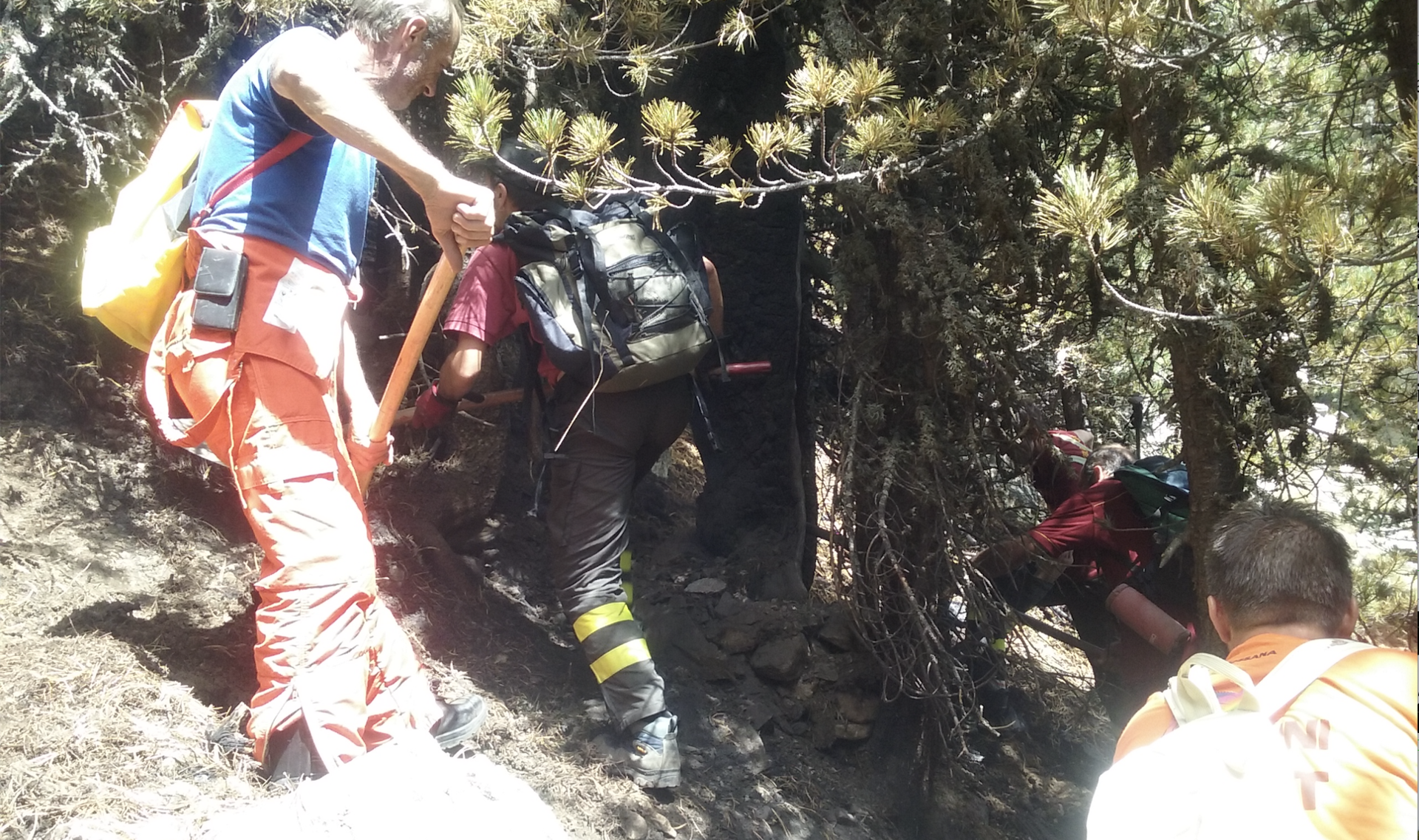 La Guida - Incendio nel bosco dell’Alevè