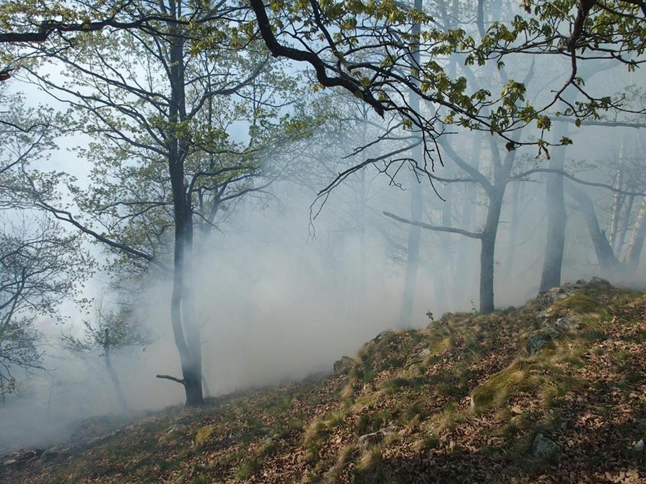 Sampeyre, incendio boschivo in borgata Vallone La Guida - Sampeyre, incendio boschivo in borgata Vallone