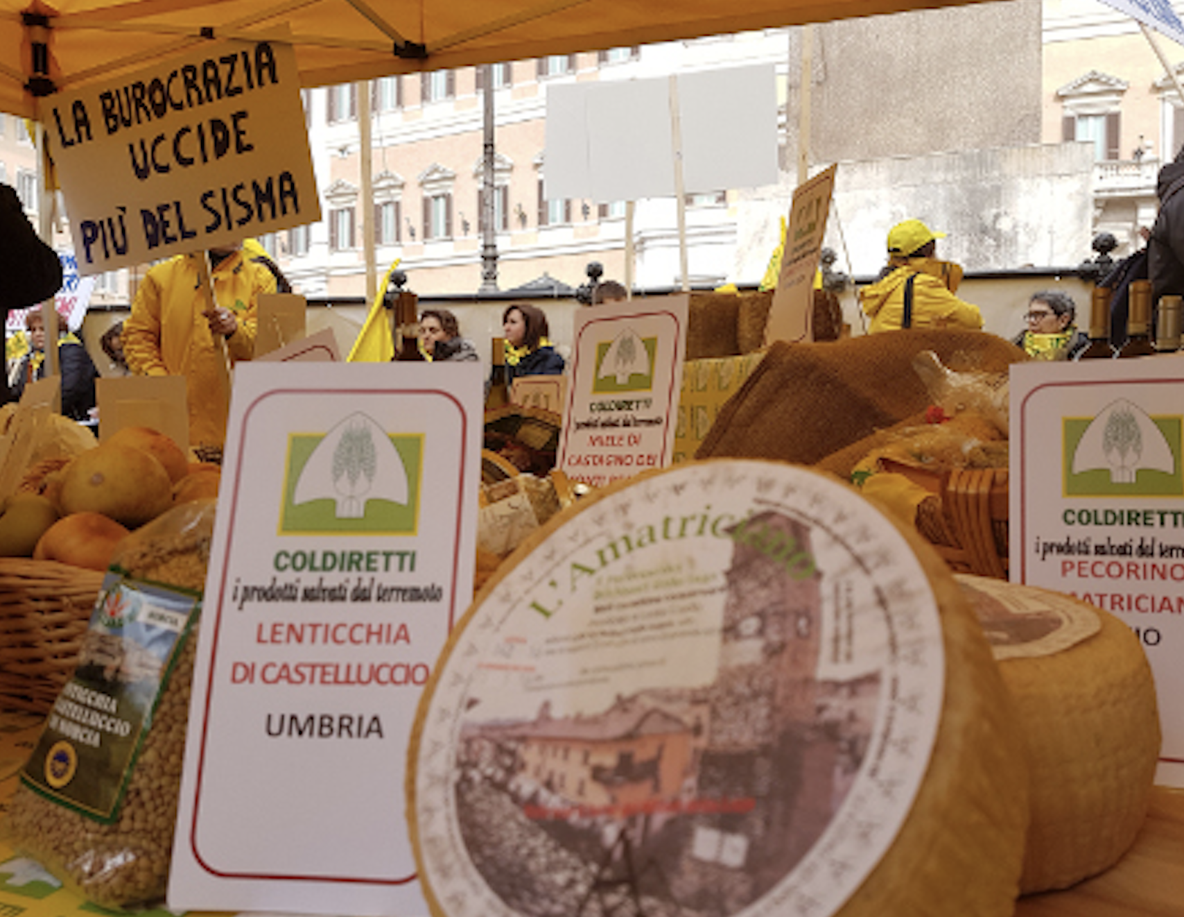 La Guida - “Cacio amico” per aiutare le aziende agricole terremotate