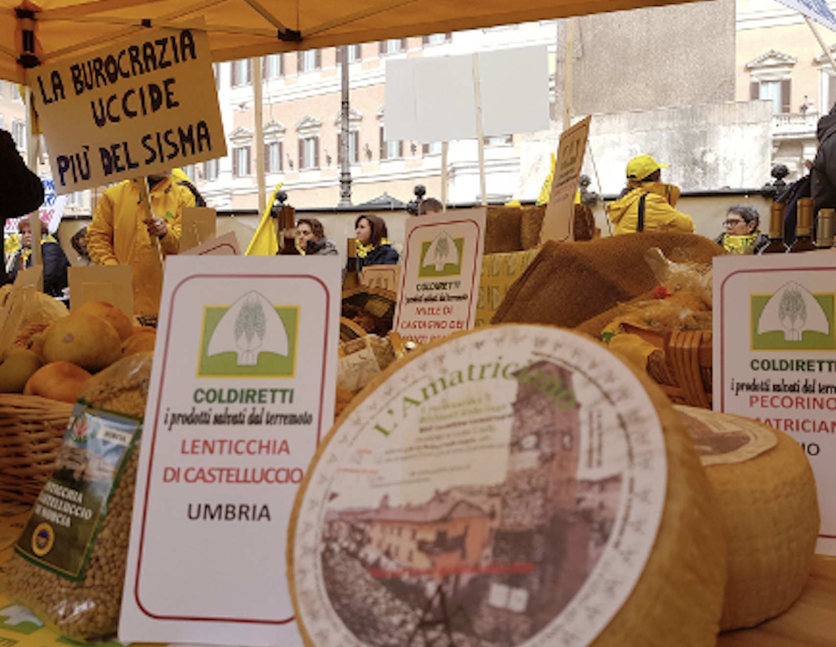 “Cacio amico” per aiutare le aziende agricole terremotate La Guida - “Cacio amico” per aiutare le aziende agricole terremotate