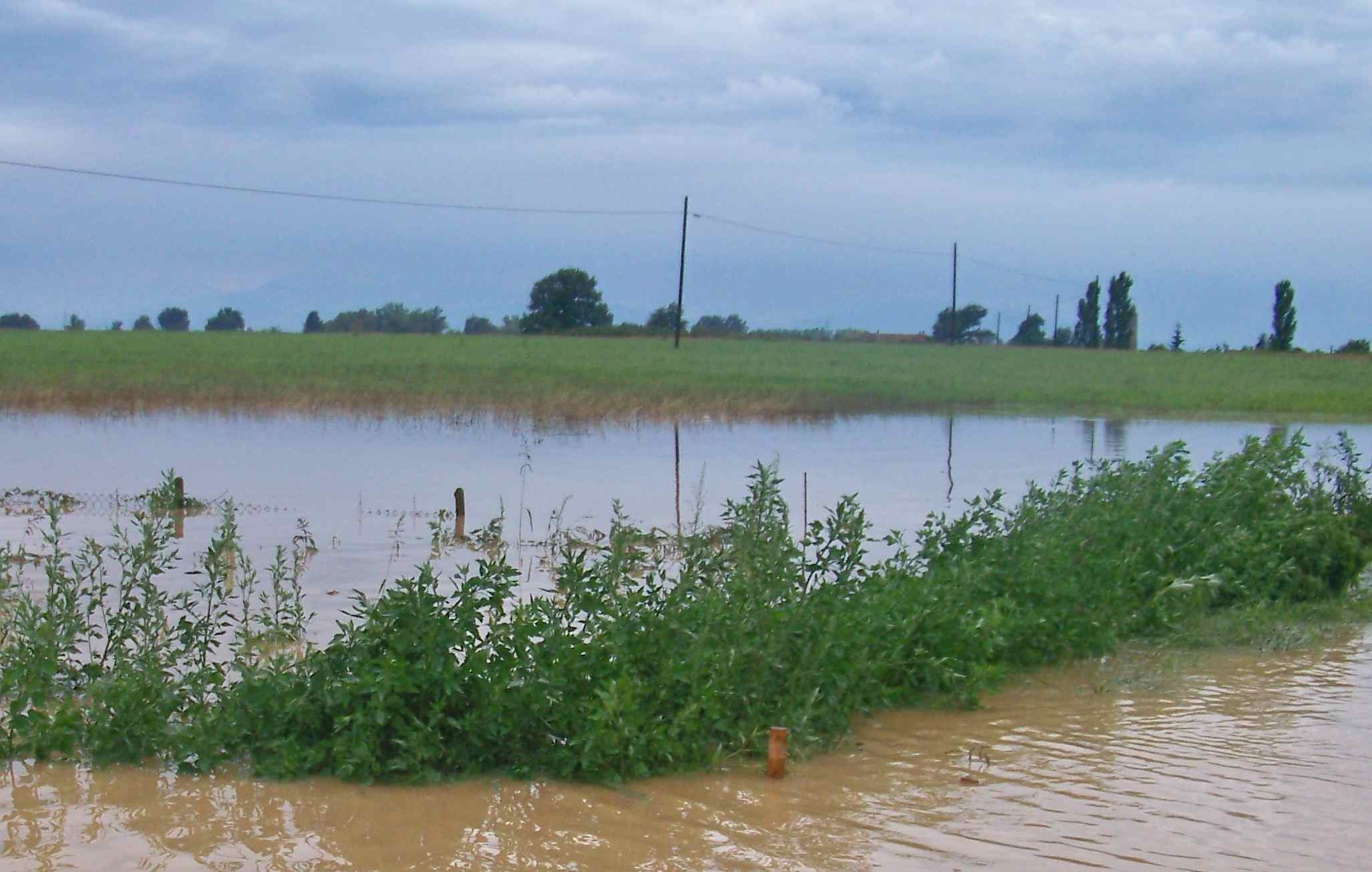 Maltempo e danni all’agricoltura, i monitoraggi di Coldiretti La Guida - Maltempo e danni all’agricoltura, i monitoraggi di Coldiretti