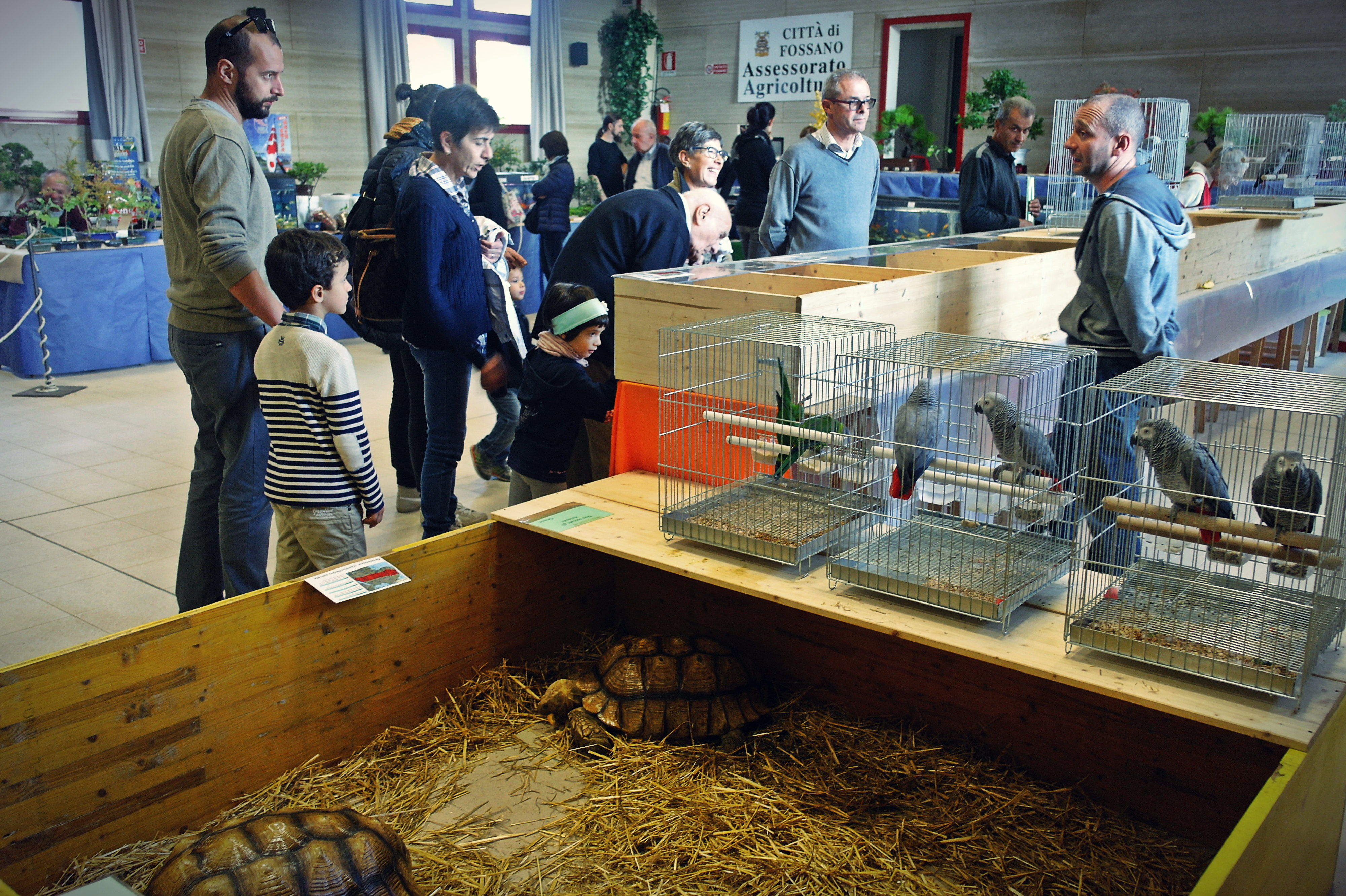 Fossano, fino a domenica è “Festa d’Autunno” La Guida - Fossano, fino a domenica è “Festa d’Autunno”