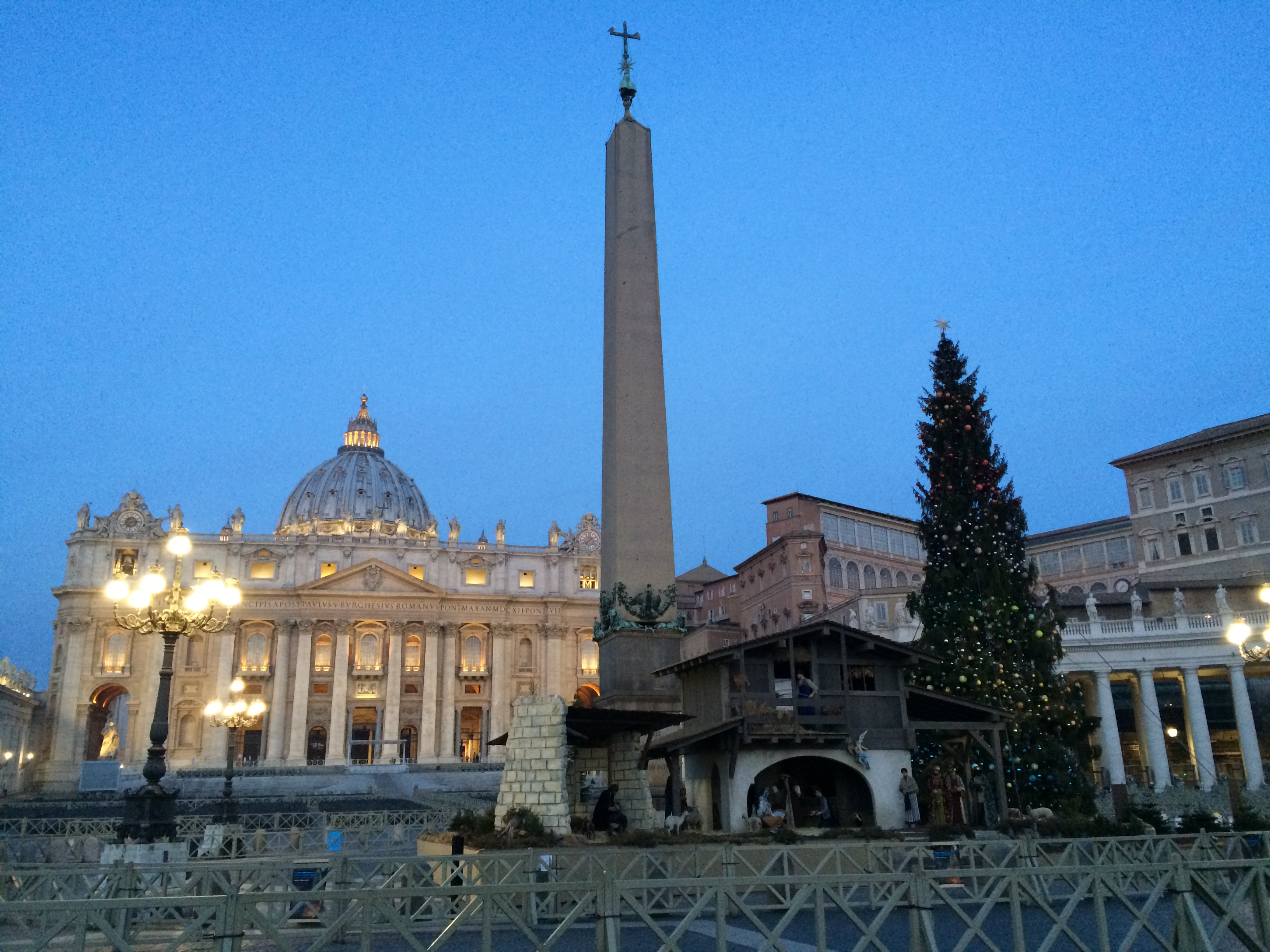 La Guida - Nel 2023 l’albero di Natale in piazza San Pietro arriverà da Macra