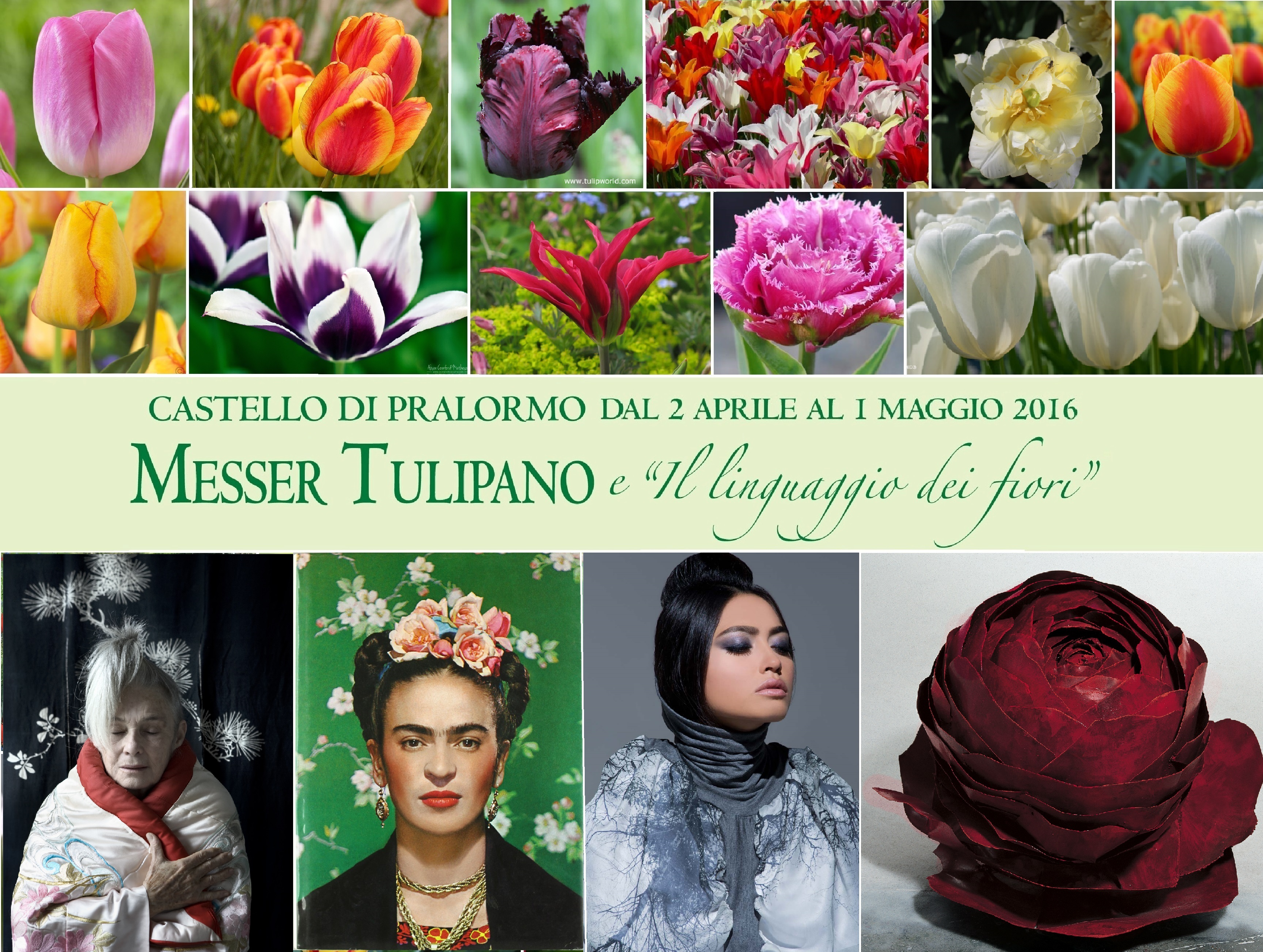 La Guida - La magia dei tulipani di Pralormo