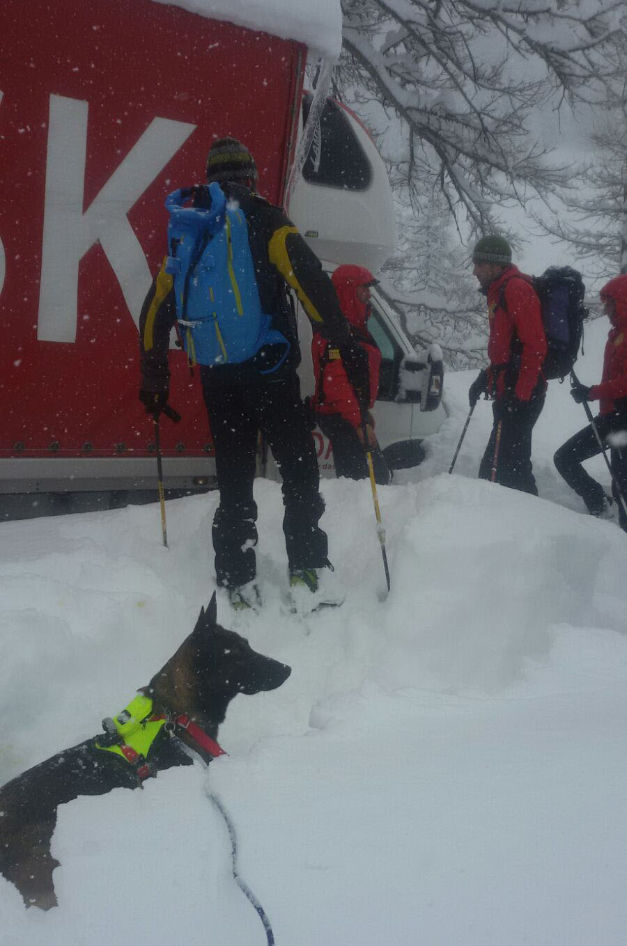Colle dell’Agnello, salvato nella neve La Guida - Colle dell’Agnello, salvato nella neve
