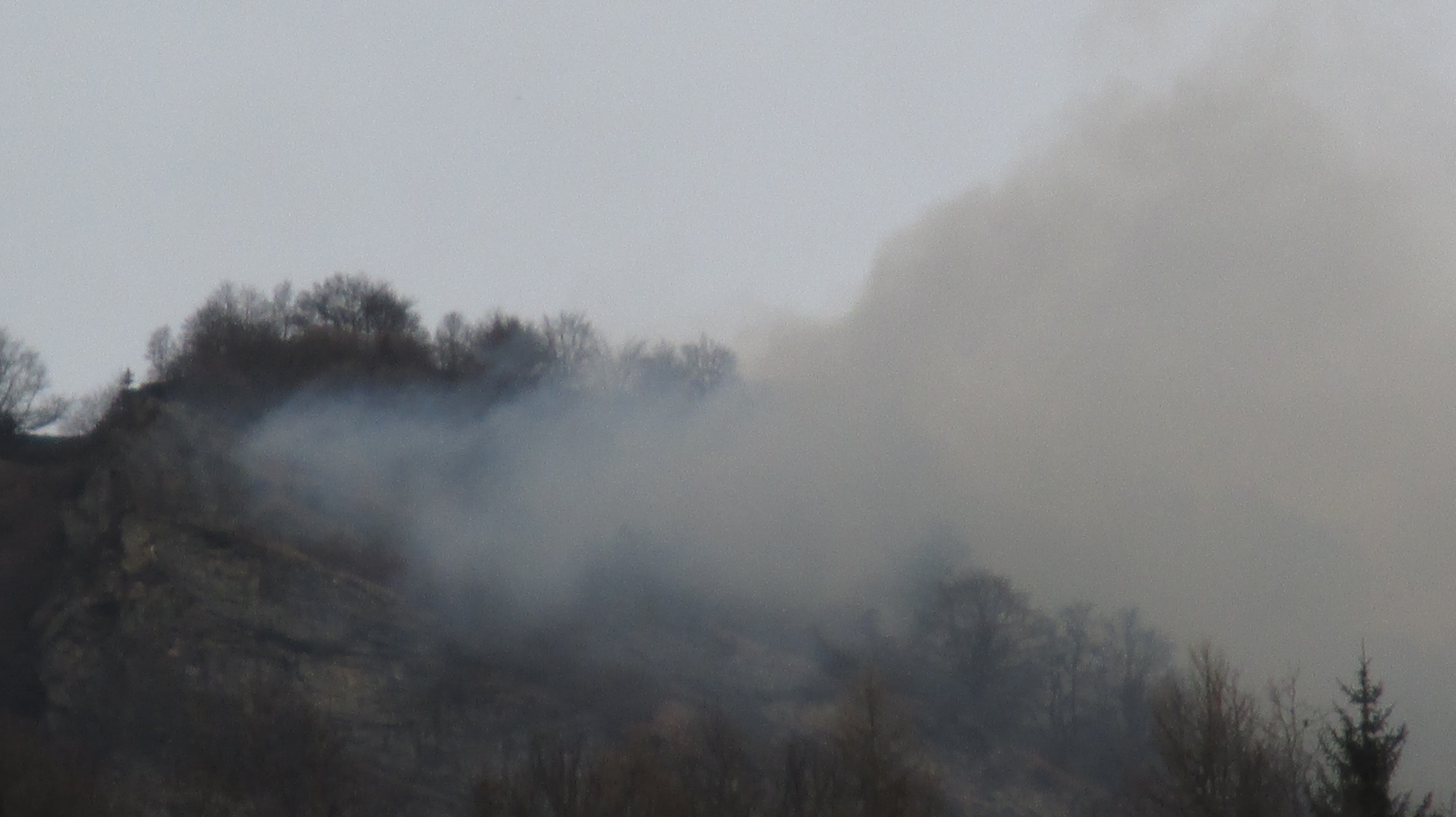 Coldiretti, allarme siccità e incendi La Guida - Coldiretti, allarme siccità e incendi