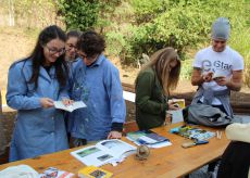 La Guida - Il liceo artistico di Cuneo premiato per un video al Parco fluviale