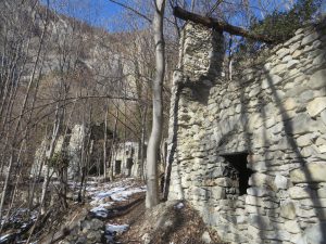 I ruderi delle grange Ciancamentes, ormai abbandonate e quasi sepolte dal bosco