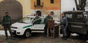 La Guida - Recuperato capriolo che si era rifugiato nel parco di una villa a Saluzzo