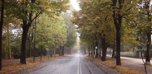 La Guida - Cambia l’orario dell’area pedonale in Viale Angeli