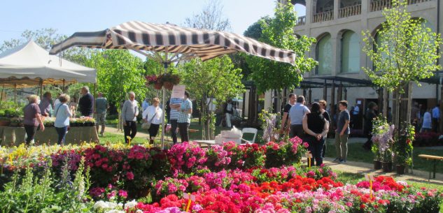 La Guida - “Flora”, tra fiori, piante e natura a Costigliole Saluzzo