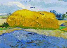 La Guida - “Van Gogh, tra il grano e il cielo” al Ferrini di Caraglio