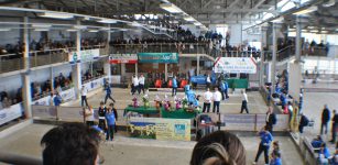 La Guida - Alla Novella la finale del Campionato Italiano di serie A per club di petanque