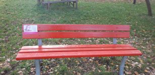 Una nuova panchina rossa in ricordo delle donne che non ci sono più La Guida - Una nuova panchina rossa in ricordo delle donne che non ci sono più