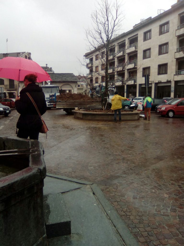 Boves - posa dell'albero in piazza dell'Olmo