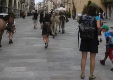 La Guida - La carovana di artisti partita da Cuneo alla volta di Nizza