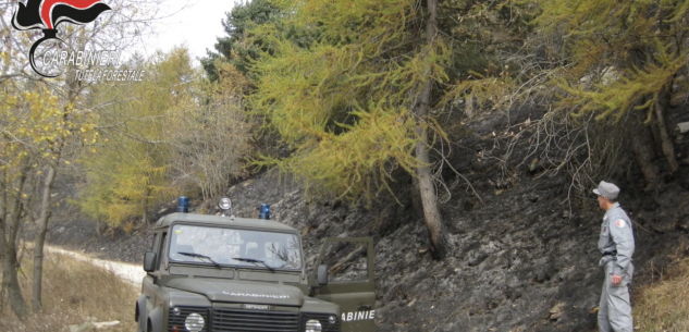 La Guida - Allevatore rinviato a giudizio per un incendio boschivo a Chiusa Pesio