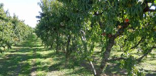 La Guida - A Cuneo la manifestazione dei braccianti agricoli