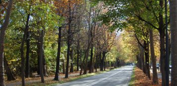 La Guida - Revocata l’area pedonale per tre week-end