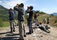 La Guida - Riparte l’osservazione dei rapaci che migrano