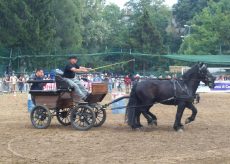 La Guida - A Dronero la rassegna del cavallo di Merens