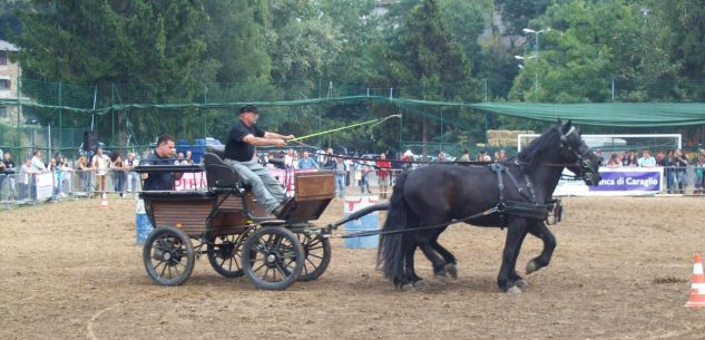 La Guida - A Dronero la rassegna del cavallo di Merens