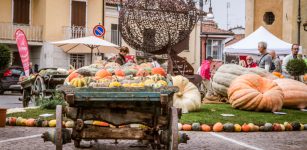 Torna la fiera regionale della Zucca di Piozzo La Guida - Torna la fiera regionale della Zucca di Piozzo