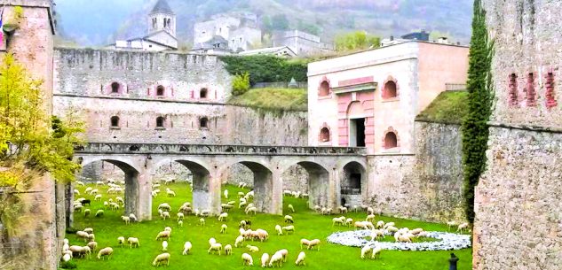 La Guida - Sambucana per la Fiera dei Santi