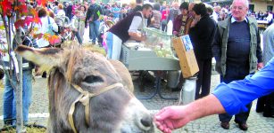 La Guida - Venasca in festa per la castagna