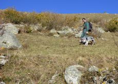 La Guida - Intervento del gruppo cinofilo antiveleno regionale nel Parco del Monviso