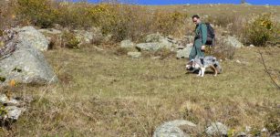 Intervento del gruppo cinofilo antiveleno regionale nel Parco del Monviso La Guida - Intervento del gruppo cinofilo antiveleno regionale nel Parco del Monviso