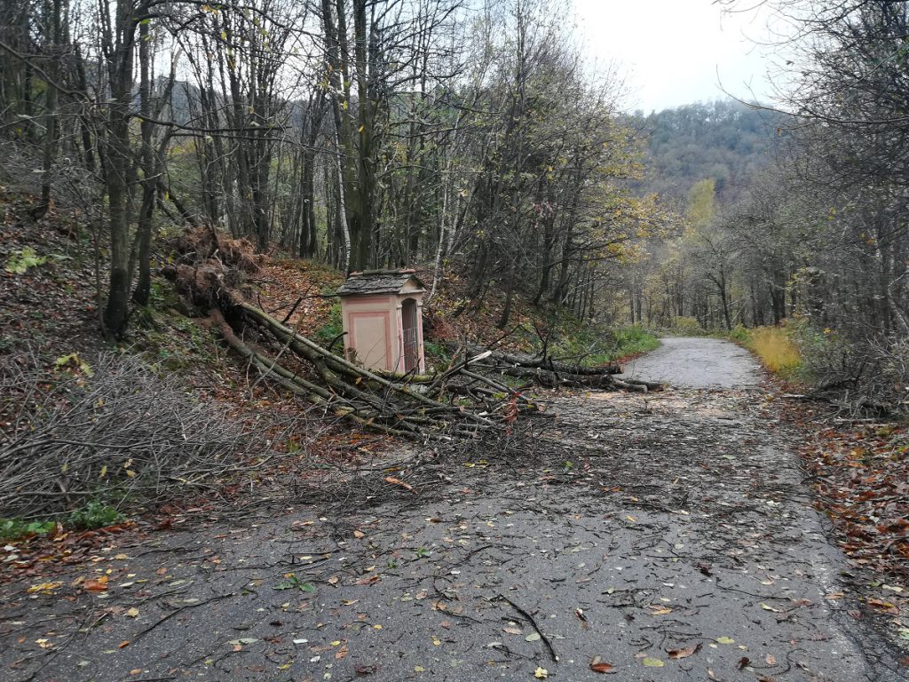 Peveragno, alberi caduti per il maltempo