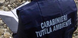 La Guida - Rifiuti plastici, denuncia per un’azienda della Granda