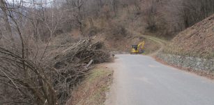 La Guida - Operai forestali al lavoro sulla strada Sampeyre-Becetto