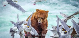 La Guida - La fotografia naturalistica e di viaggio di Marco Urso