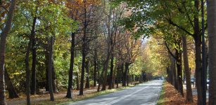 Viale Angeli pedonale a Ferragosto La Guida - Viale Angeli pedonale a Ferragosto