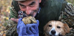 La Guida - Raduno nazionale di trifulau e cani da tartufo, domenica a Canale