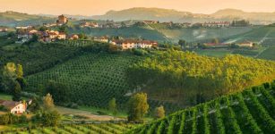 La Guida - Piante da tartufo, la Regione sostiene chi mantiene i boschi