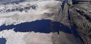 La Guida - Olio e vetri sulla strada a Roata Canale