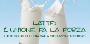 La Guida - Latte, dare forza alla filiera e tutelare i produttori