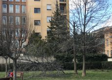 La Guida - Alberi spezzati, cartelli caduti, finestre rotte per le forti raffiche di vento