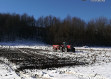 La Guida - Quattordici sanzioni per uso di liquami in agricoltura