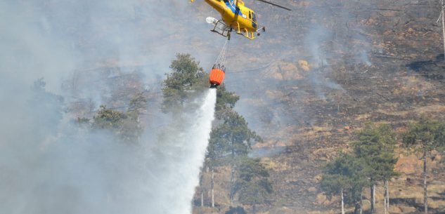 La Guida - Stato di massima pericolosità per gli incendi boschivi sul territorio regionale