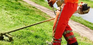 La Guida - Peveragno, per il “verde” c’è il ritiro gratuito a domicilio