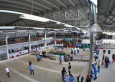 La Guida - Petanque, finali di campionato a La Novella di Cuneo