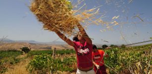 Il gusto della legalità all’Ipercoop La Guida - Il gusto della legalità all’Ipercoop